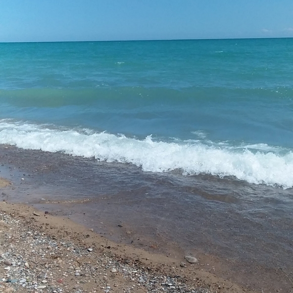 Meet your Posher, Bonny - Picture 2 of 2